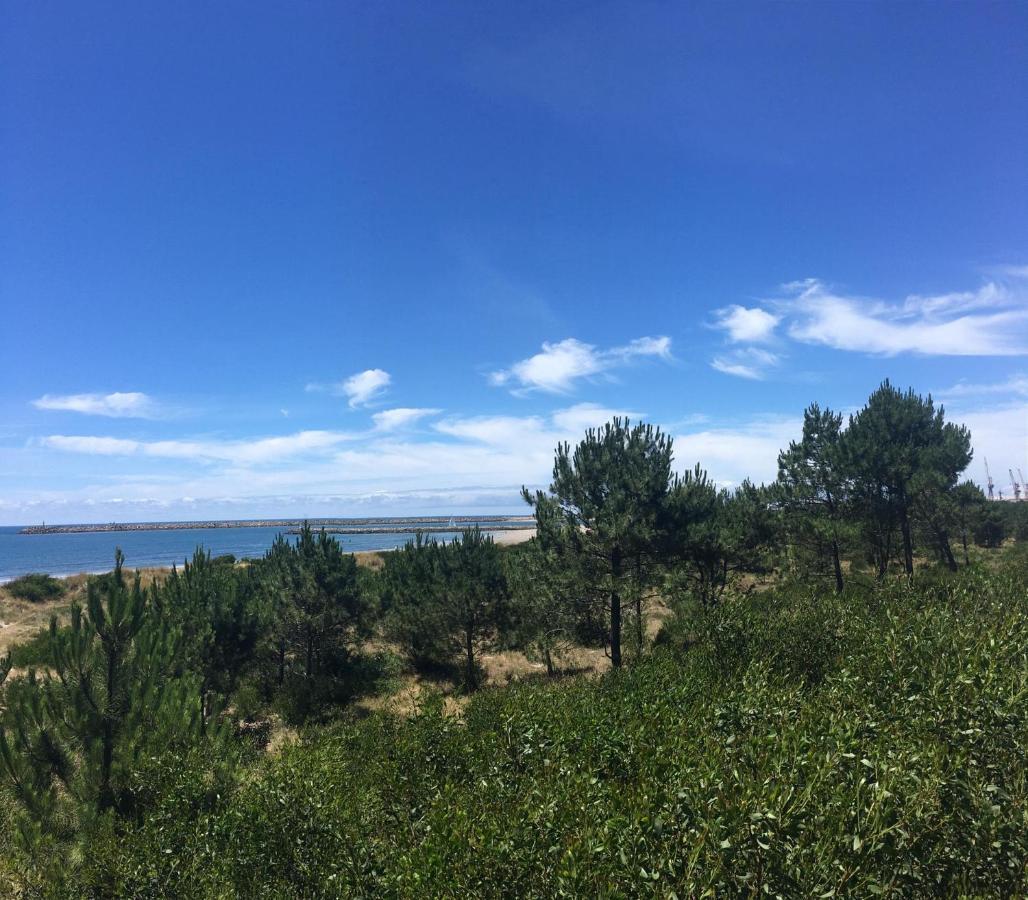 Cabedelo Beach Apartment Viana do Castelo Ngoại thất bức ảnh